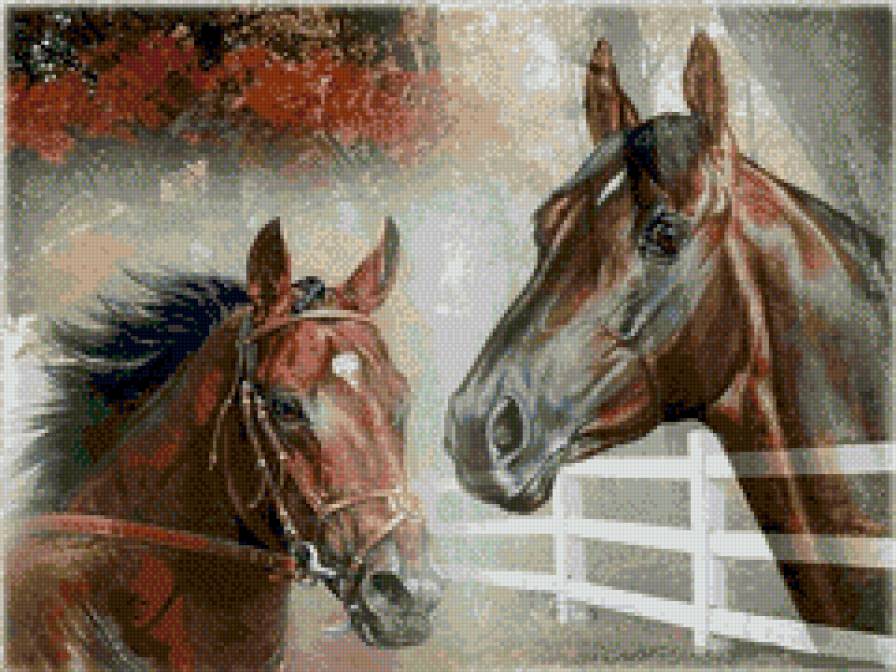 лошади - предпросмотр