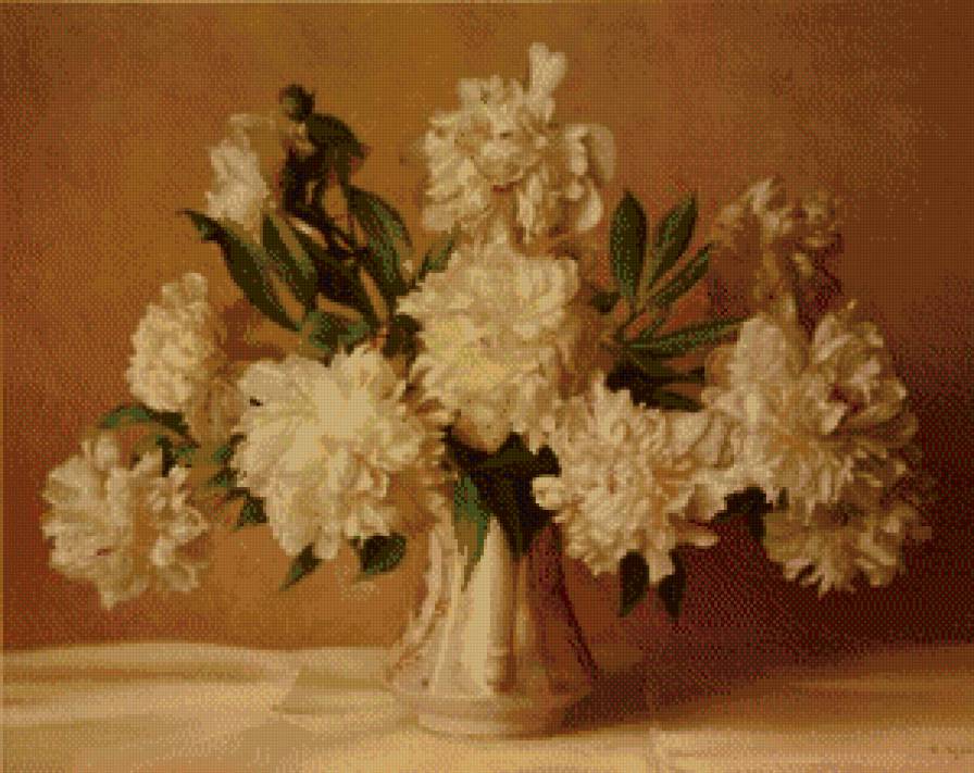 Пионы - предпросмотр