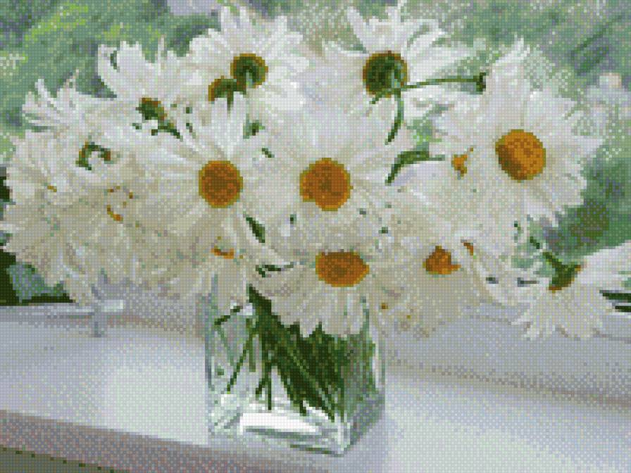 ромашки - предпросмотр