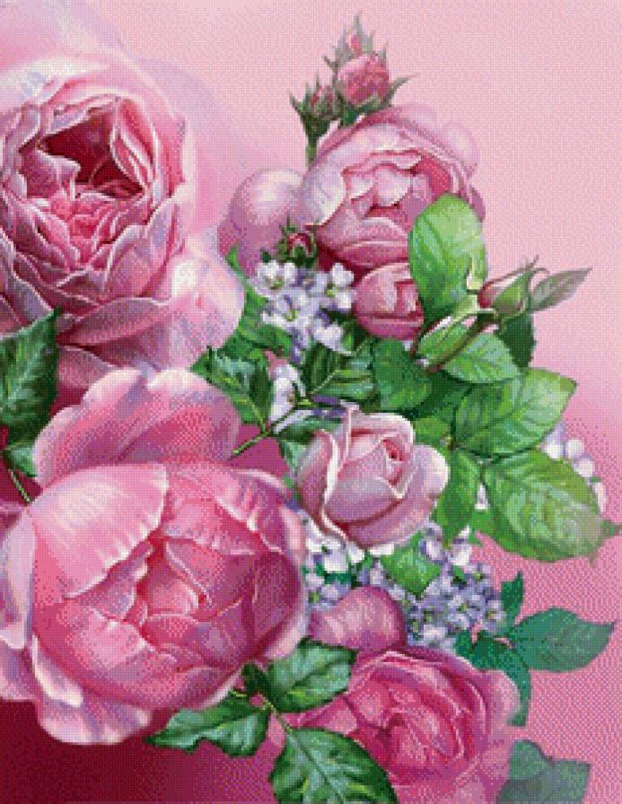 букет роз - цветы - предпросмотр