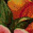 Предпросмотр схемы вышивки «цветы» (№454043)