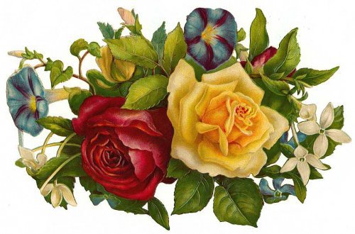 цветы - цветы - оригинал