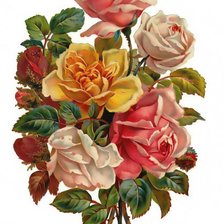 Схема вышивки «цветы»