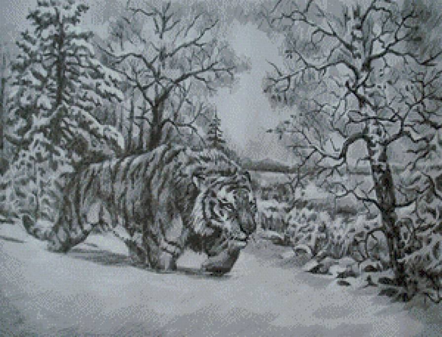 тигр - снег, лес, зима, животные, тигр - предпросмотр