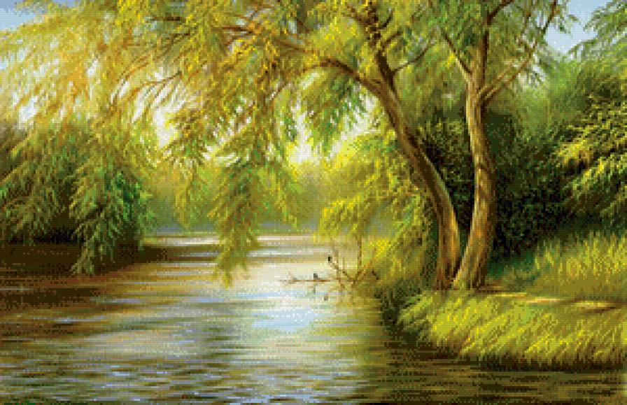 дерево у реки - природа, река, деревья, пейзаж - предпросмотр