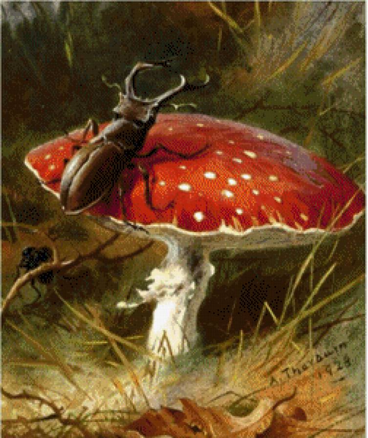 Muxamor - предпросмотр