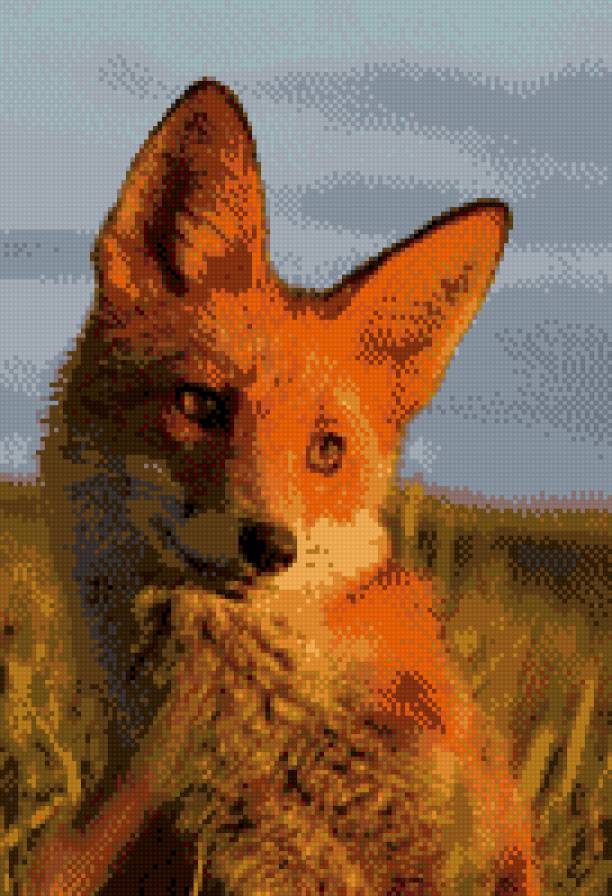 Лисенок - предпросмотр