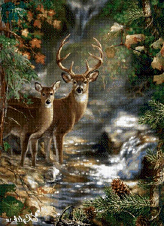 олени у реки - животные, олени, река, лес - предпросмотр