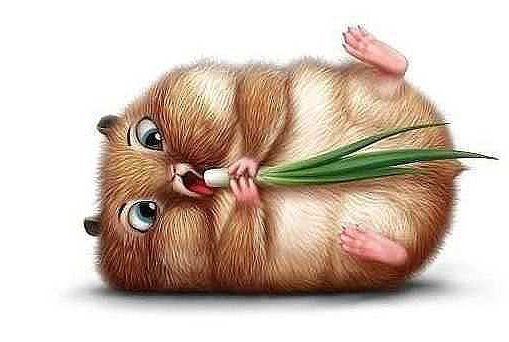 обжорка - животные, юмор - оригинал