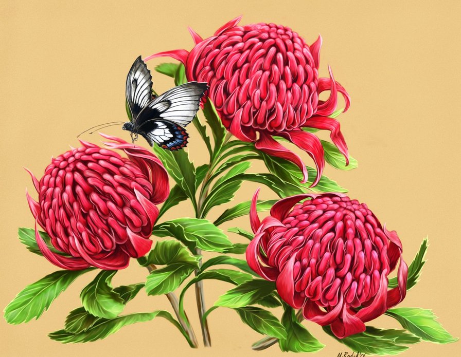 №454475 - оригинал