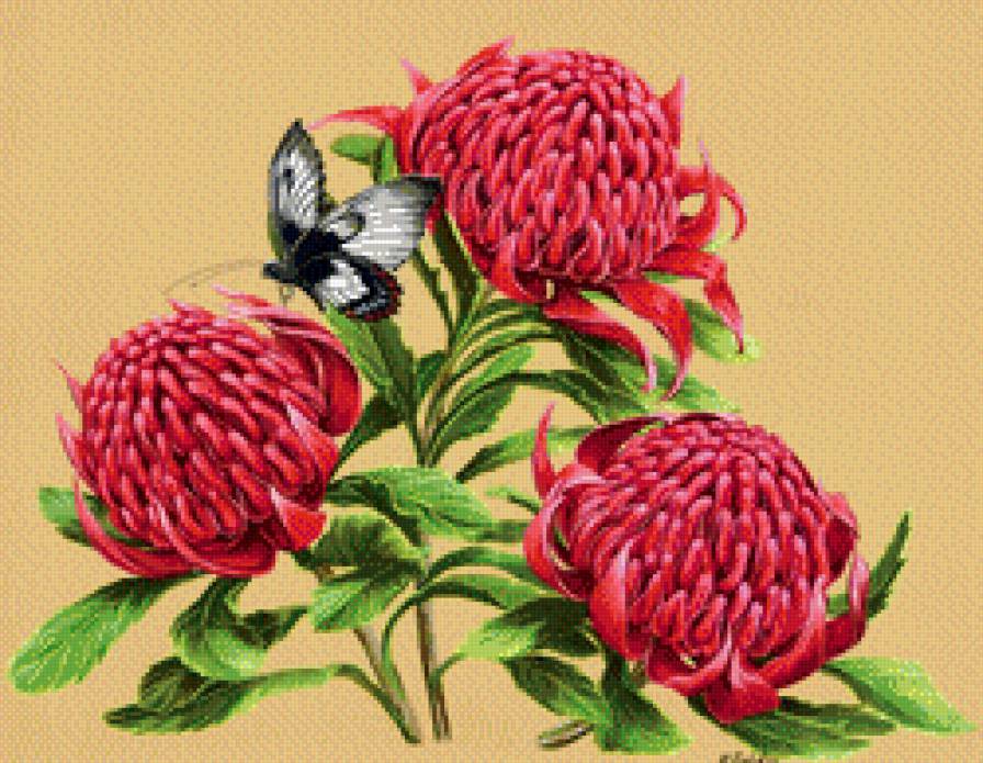 №454475 - предпросмотр