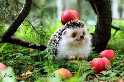 №454527 - животные - оригинал