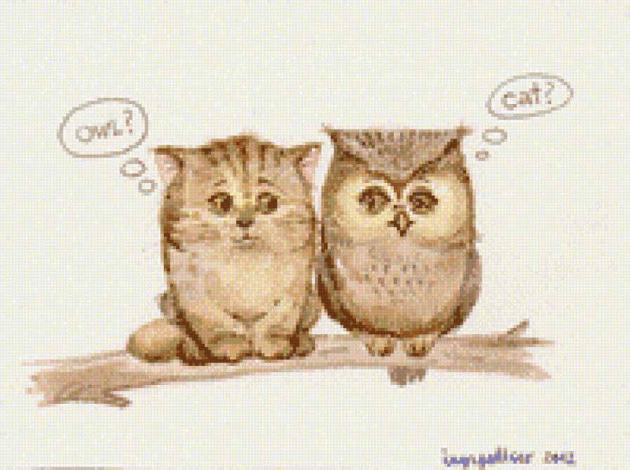 совушка и кот - кот, птицы, совушка, животные - предпросмотр
