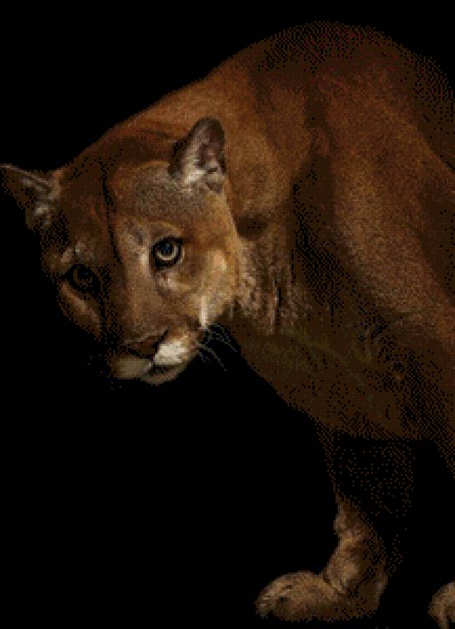 №454776 - предпросмотр