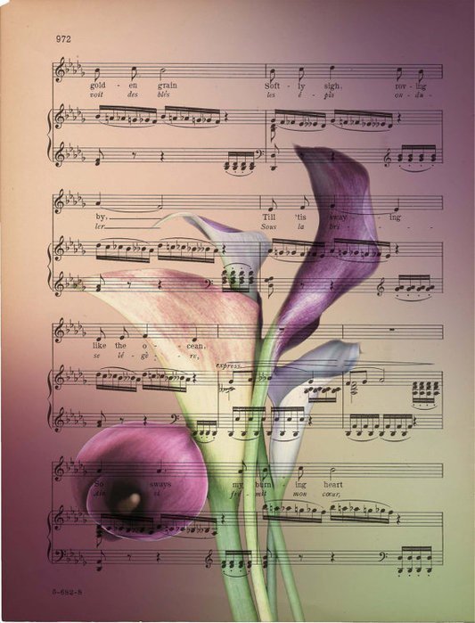 ноты - цветы, ноты - оригинал