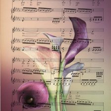 Схема вышивки «ноты»