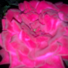 Схема вышивки «Роза»