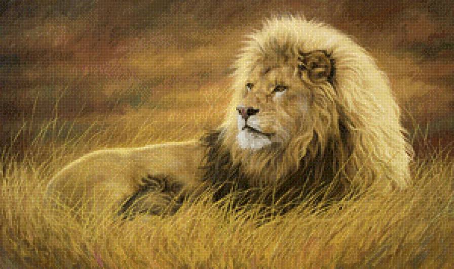 Царь зверей - кошки, лев, животные - предпросмотр
