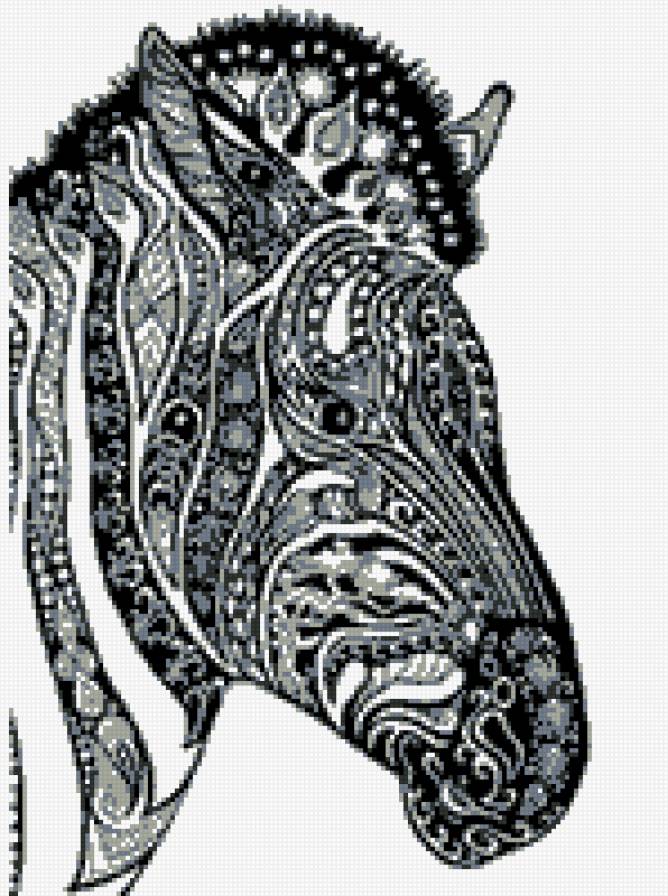 монохром зебра - зебра, монохром, животные - предпросмотр