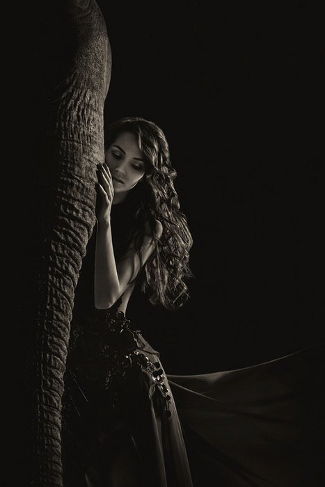 Девушка и слон - дружба, девушки, животные - оригинал