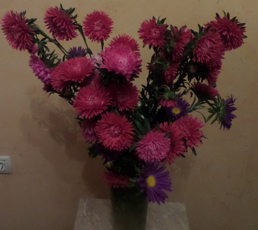 астры 2 - оригинал