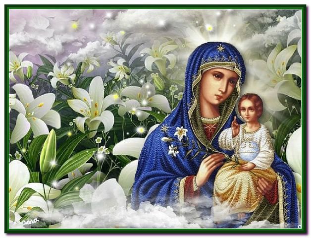 Неувядаемый цвет - оригинал