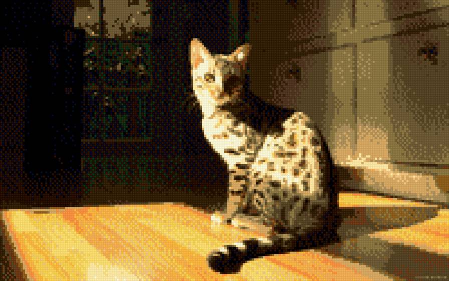 Любимица - предпросмотр