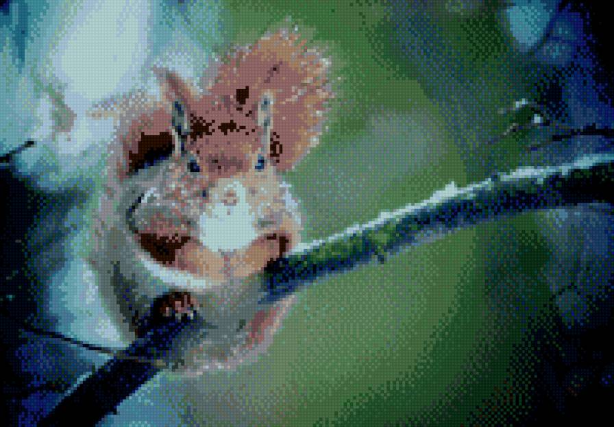 Белочка - предпросмотр