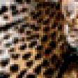 Предпросмотр схемы вышивки «леопарды» (№455403)