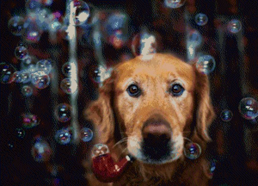 собачка - собака - предпросмотр