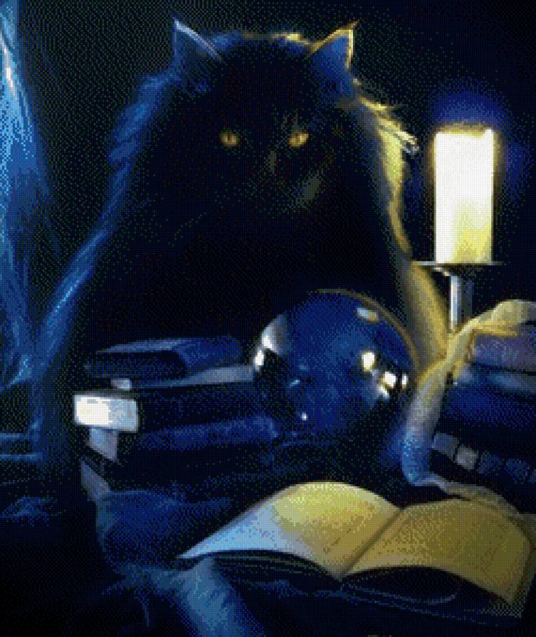 чёрный кот - ночь - предпросмотр