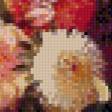 Предпросмотр схемы вышивки «№455592»