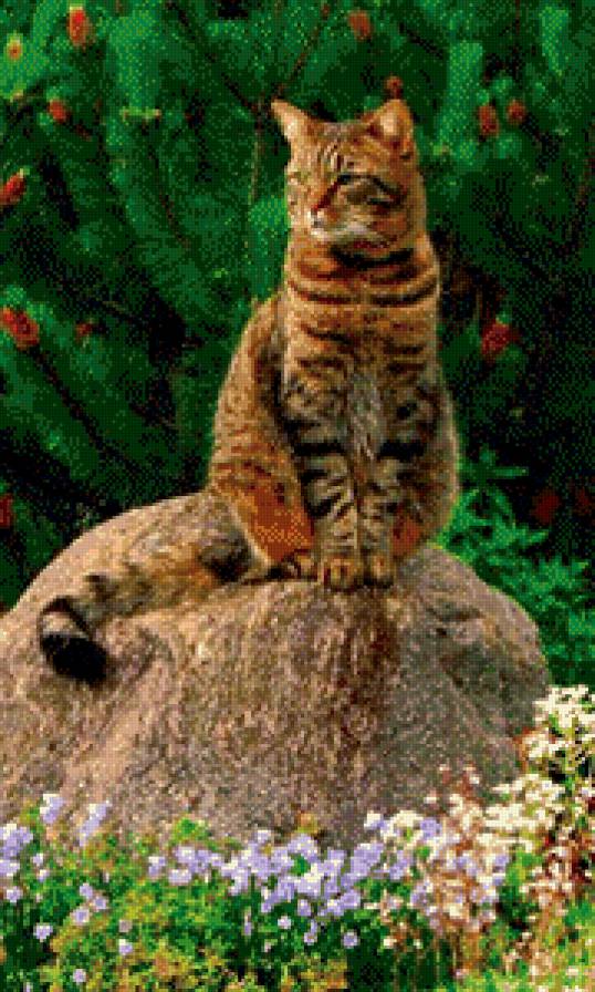 №455706 - животные - предпросмотр