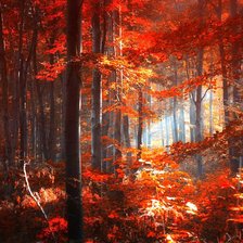 Схема вышивки «осень»