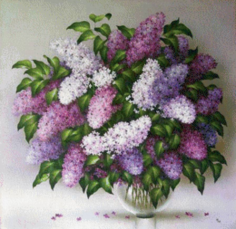 сирень - предпросмотр