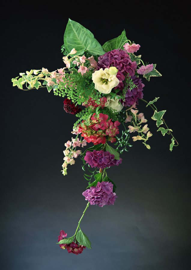 №455948 - оригинал