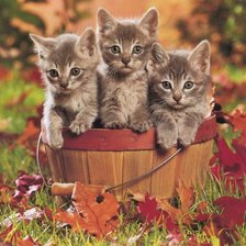 Схема вышивки «три Кузи:)»