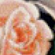 Предпросмотр схемы вышивки «розы» (№455998)
