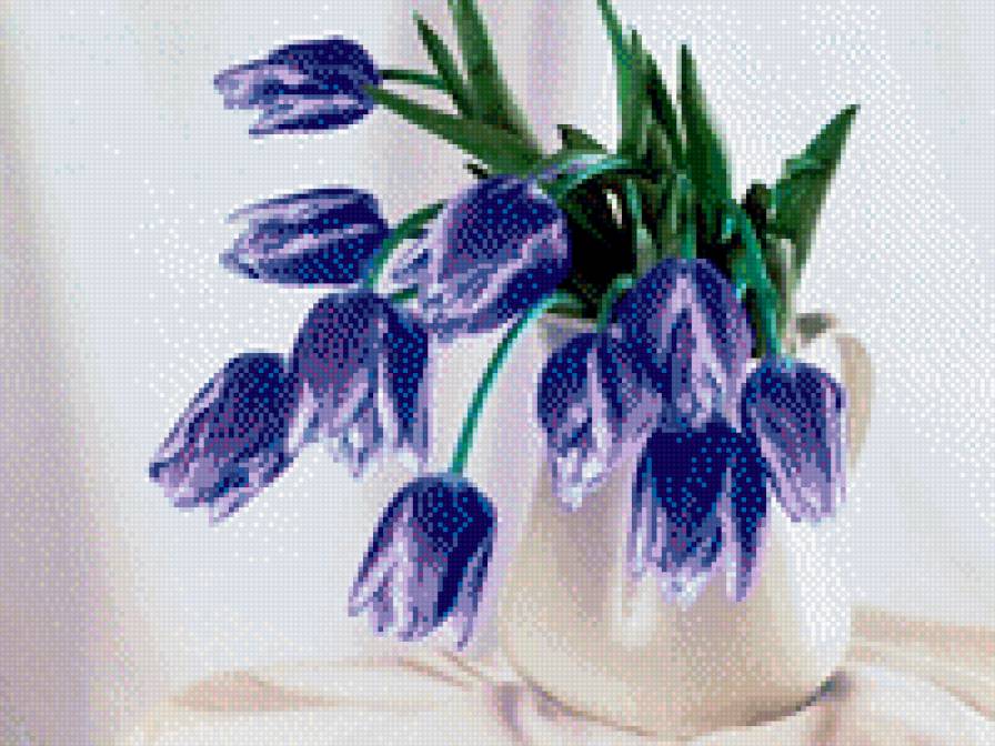 Тюльпаны синие - цветы - предпросмотр