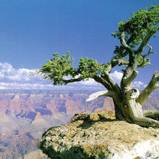 Схема вышивки «Пейзаж»