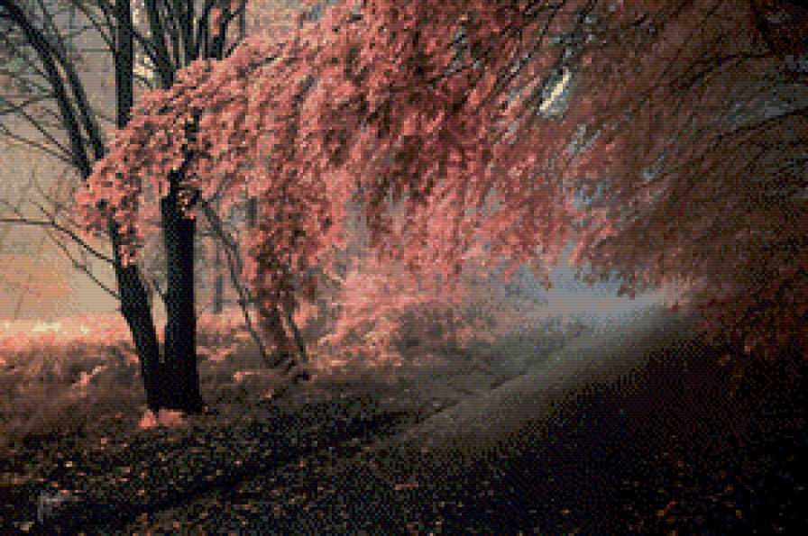 Цвета осени - лес, дорога, листья, осень - предпросмотр