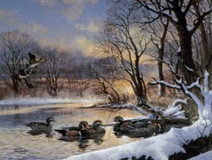 утки на озере - озеро, птицы, утки - предпросмотр