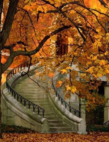 №456187 - оригинал