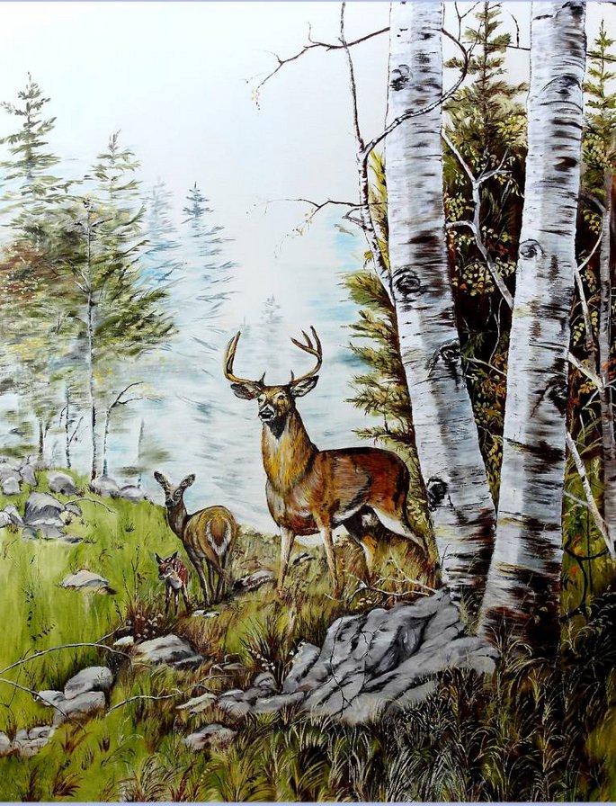 Олень в березах. Охотничьи пейзажи. Картина Тайга. Картины с оленями на природе. Олень на опушке леса.