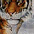 Предпросмотр схемы вышивки «Тигры» (№456236)