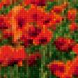 Предпросмотр схемы вышивки «Маковый закат» (№456239)