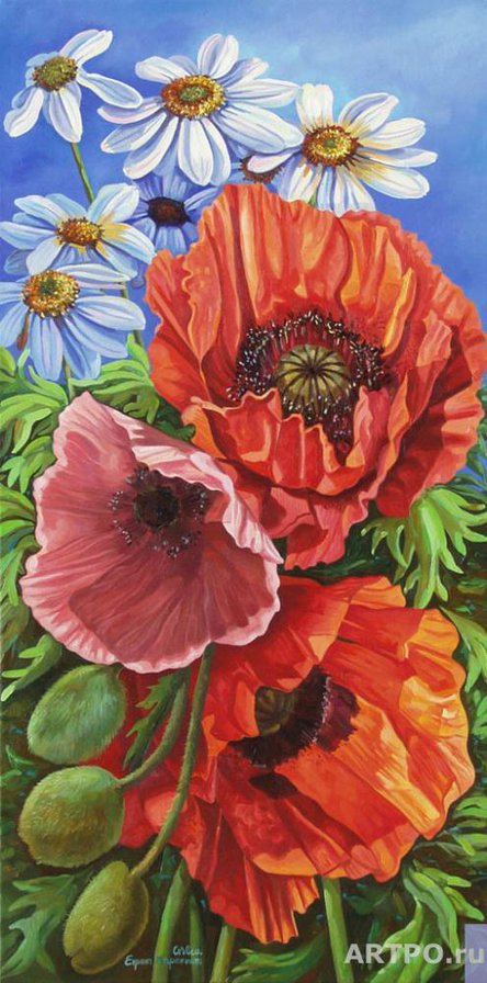 Маки - цветы, букет, ромашки - оригинал