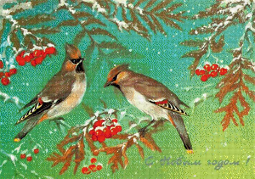 Птички - птицы, зима, новый год, рябина - предпросмотр