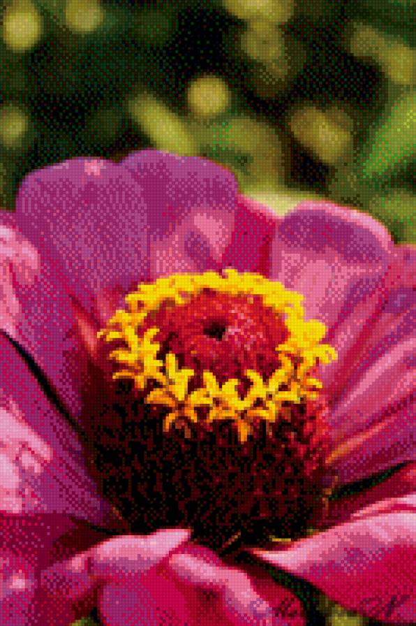 Цветок - цветы - предпросмотр