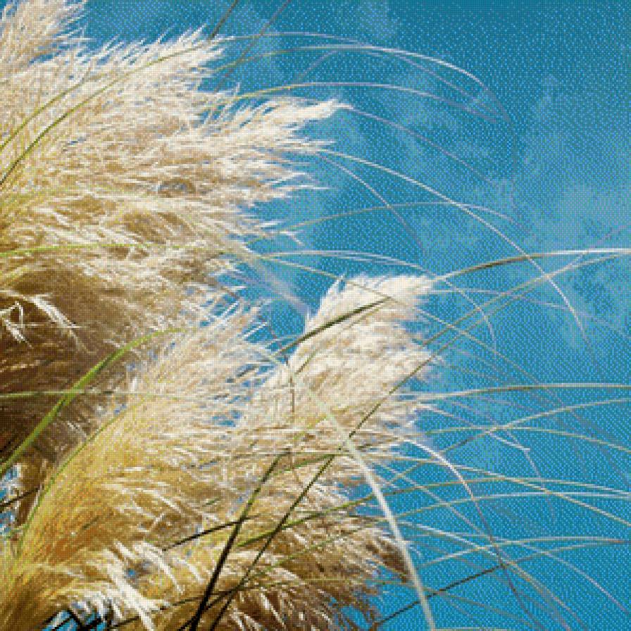 поле - растения, трава, поле - предпросмотр